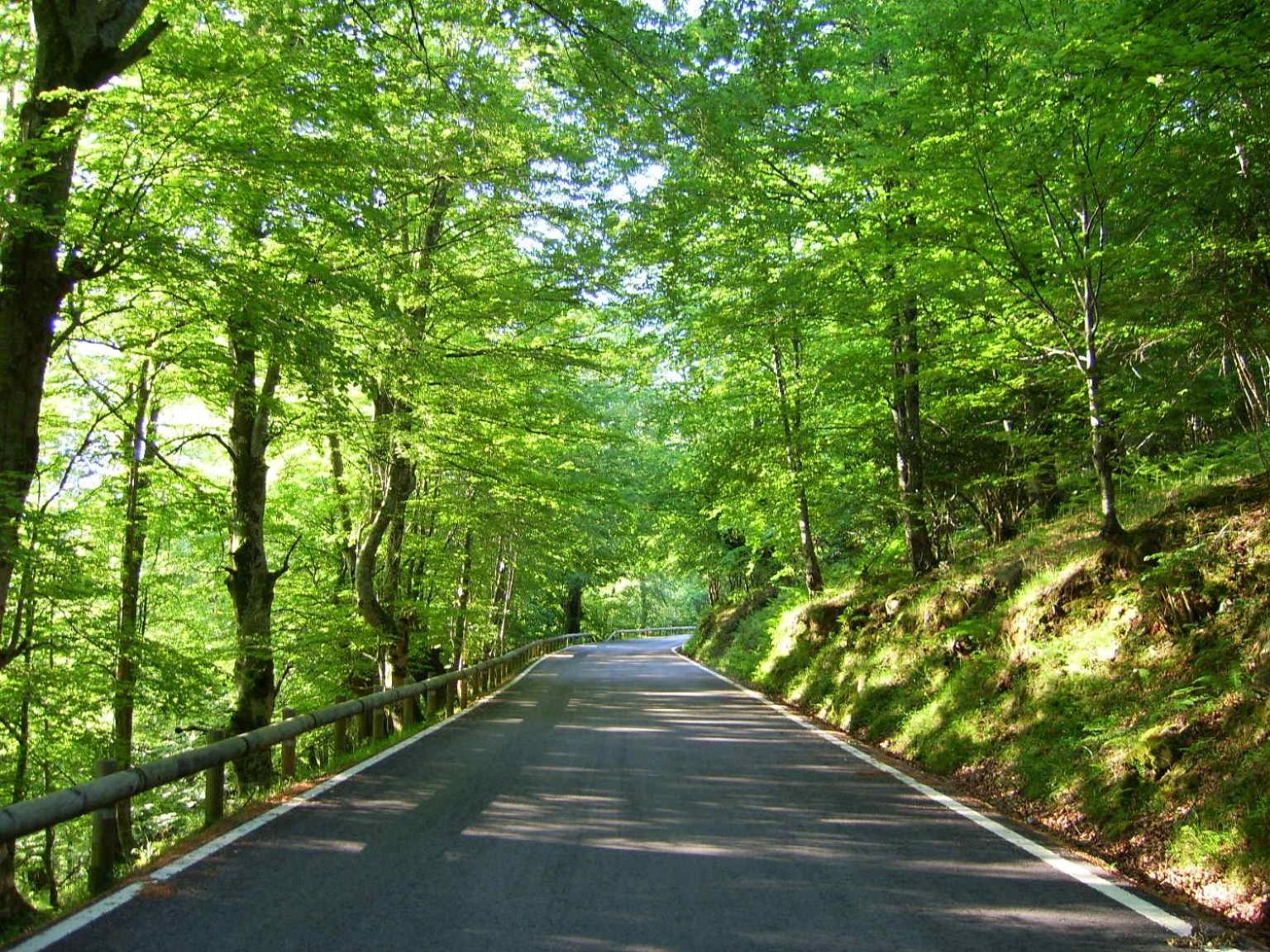 Casa Rural Caborzal Renedo De Cabuerniga Εξωτερικό φωτογραφία